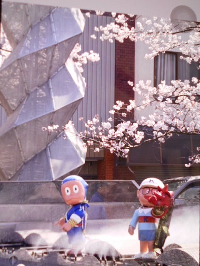 いおり花見3-2.jpg